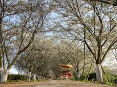 -凤凰沟景区