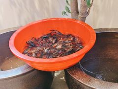 -杨厨的田园饭店(长城路店)