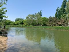 -大兴滨河森林公园