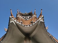 -水濂山森林公园