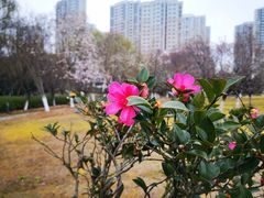 -白塘生态植物园