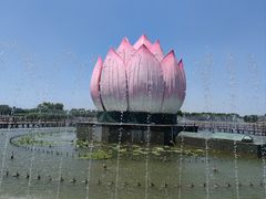 -白洋淀风景区