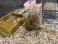 -合肥海洋世界