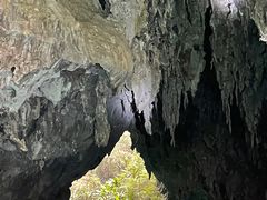 -三门海