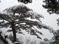 -黄山风景区