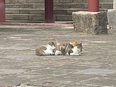 -四门塔风景区