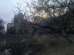 -青城公园