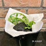 6.11起，新会员注册