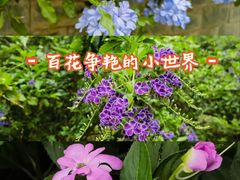 -龙头寺公园