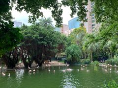 -九龙公园
