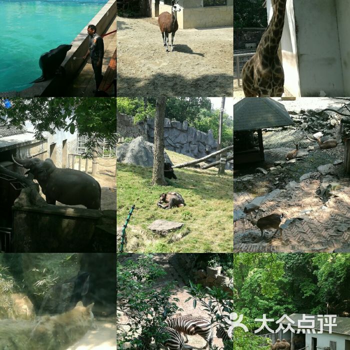杭州动物园