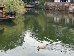 -水绘园