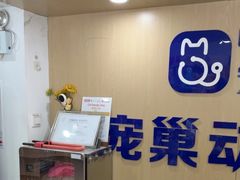 -宠颐生宠物医院·异宠猫科内科·诊疗中心宠巢店