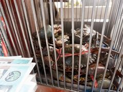 -纽顿熟食中心