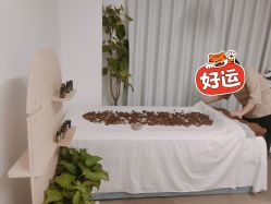 -姜美堂·蒸姜除湿の纤体美颜馆