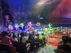 -灵玲国际马戏城