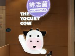 -一只酸奶牛(东方广场店)