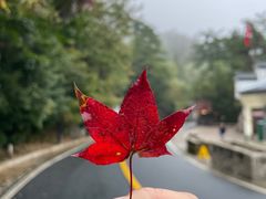 -黄山风景区