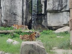 -上海野生动物园