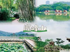 -顺峰山公园