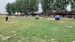 -上美四季动物农场