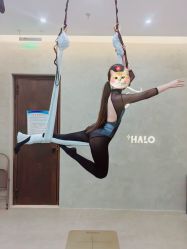 -Halo FLY运动空间