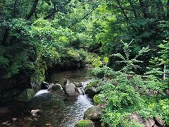 -三块石国家森林公园