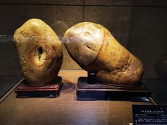 -中华赏石园