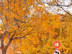 -天津五大道文化旅游区