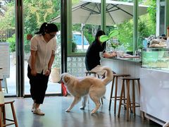 -尤加利咖啡馆