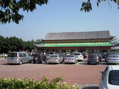 -大湾区中央湿地公园