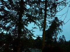 android_upload_pic-摩围山景区