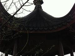 -香雪海