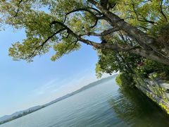 -杭州西湖柳莺里酒店·闻莺厅