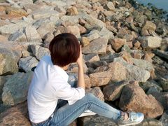 -红树湾(地铁站)