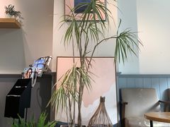 -罗森尼娜(解放西路店)