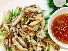 蟹柳烩芦笋-新光酒家·河豚·海鲜·蟹料理(浦东店)