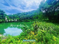 -天花井景区