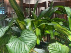 -园里火锅(仁和新城店)