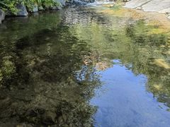 -水泉溪自然风景区