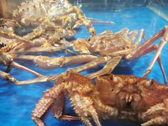 -盒马鲜生(顺义店)