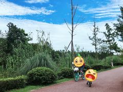 -白鹭湾湿地公园