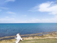 -青海湖国家重点风景名胜区