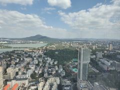 -紫峰大厦