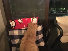 -时光转角咖啡馆(西康路店)