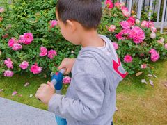 -人民公园(罗湖区)