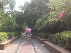 -铁路文化公园