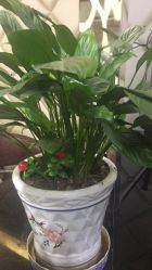 -明洞造型精品烫染