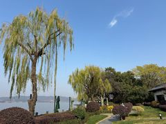 -杭州西湖柳莺里酒店·闻莺厅