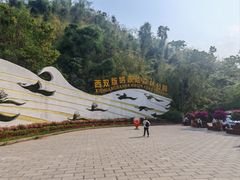-西双版纳原始森林公园